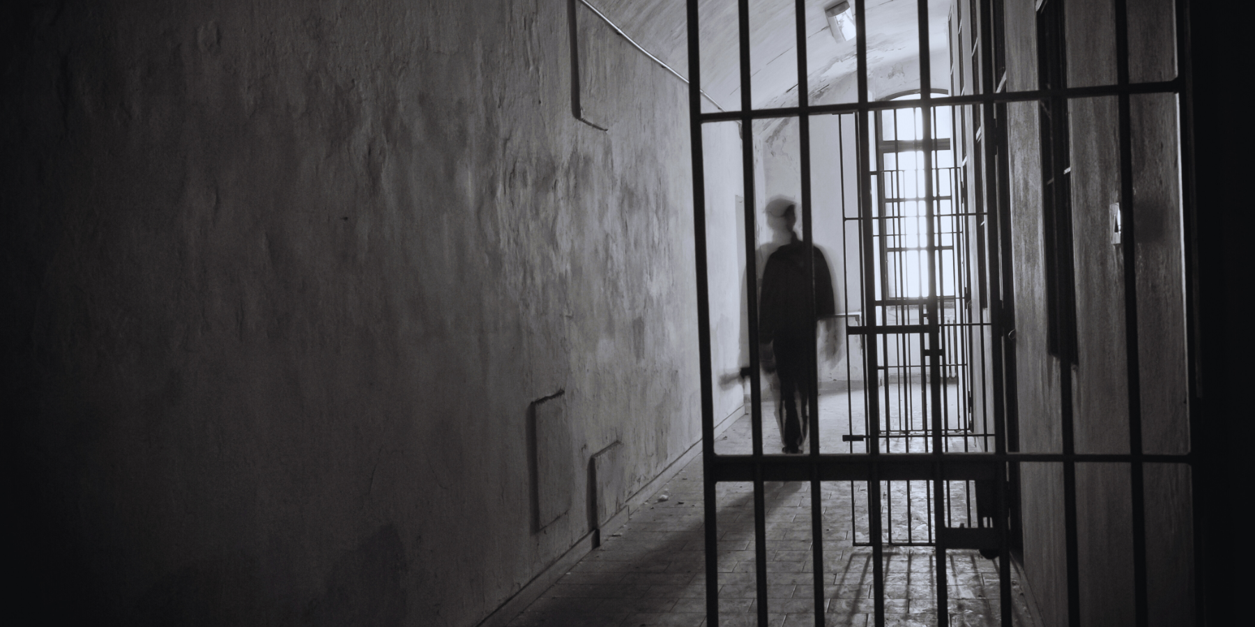 Cd sulla ‘Ndrangheta e “santini”: le richieste (dal carcere) di Capomolla. «Li trovi al mercato di Vibo»