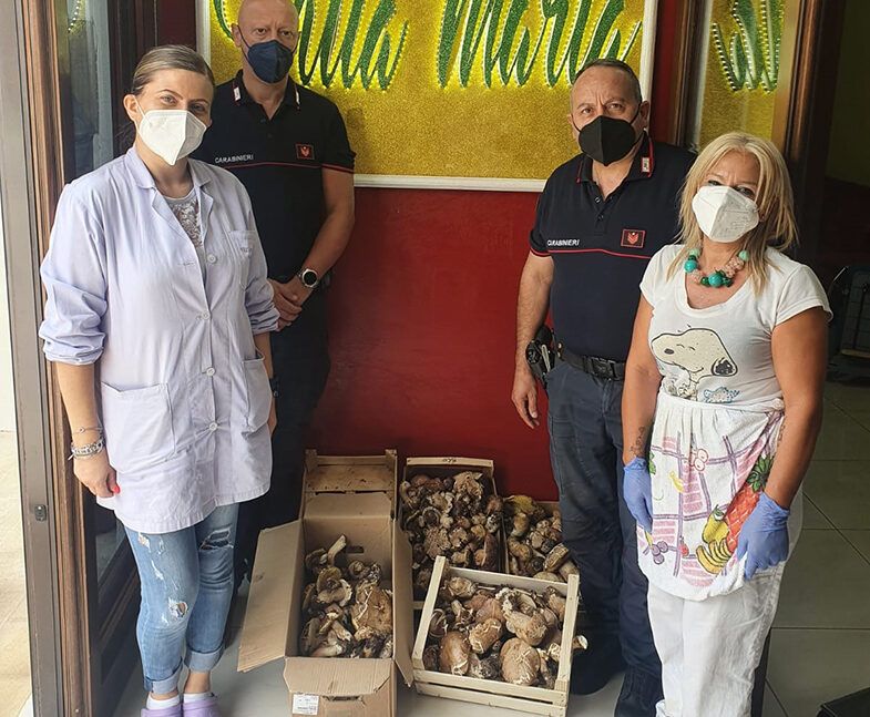 Sequestrati 19 chili di funghi venduti senza autorizzazioni, elevate multa per oltre 1000 euro
