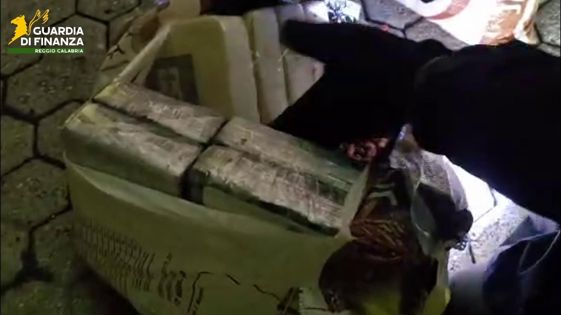 Gioia Tauro, 435 kg di cocaina nascosti in un container che trasportava noccioline. Sequestro da 70 milioni di euro – VIDEO