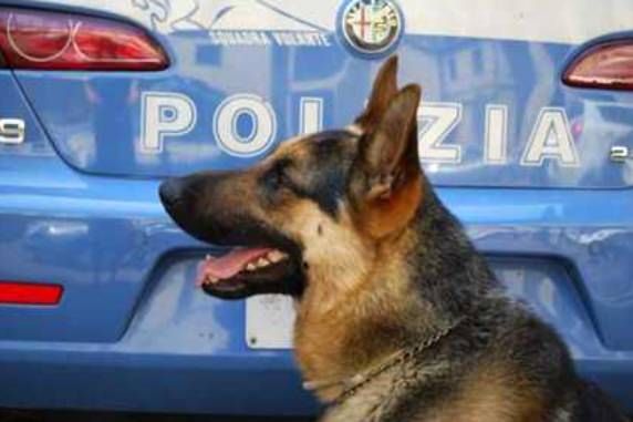 Nascondevano droga in casa, scoperti dal cane