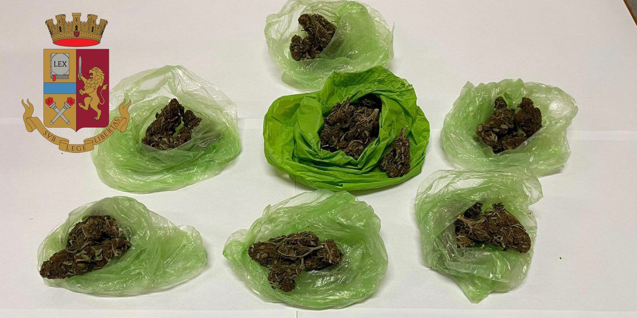 Beccato in casa con 60 grammi di marijuana divisi in dosi, denunciato un uomo a Vibo Valentia