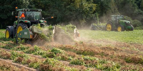 agricoltori calabresi