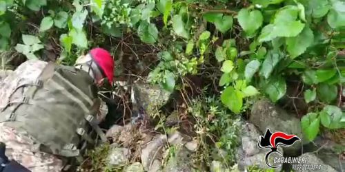 Rinvenuti una pistola e 38 proiettili in un casolare nel Reggino