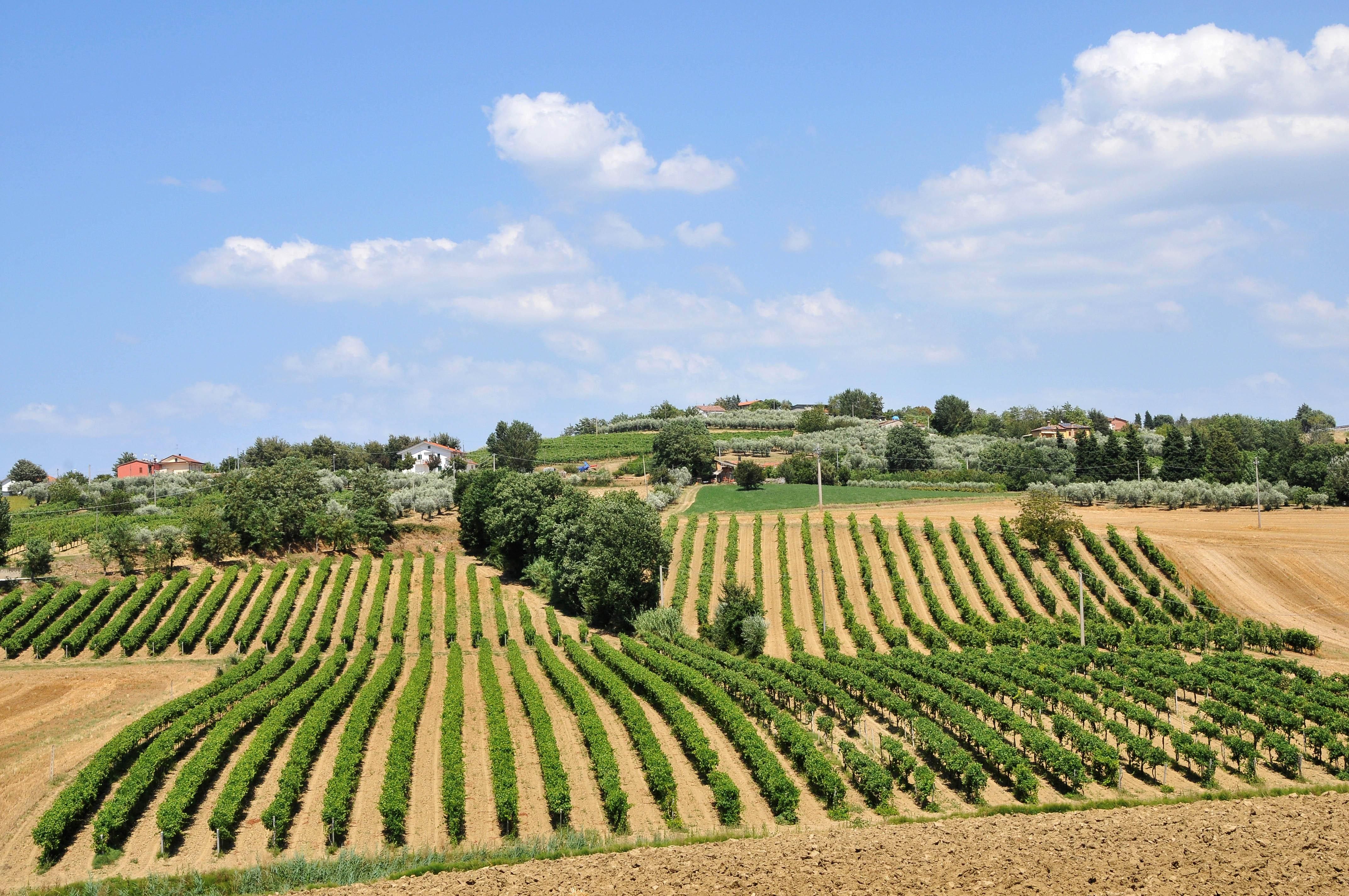 «Date le terre incolte del Comune ai disoccupati»