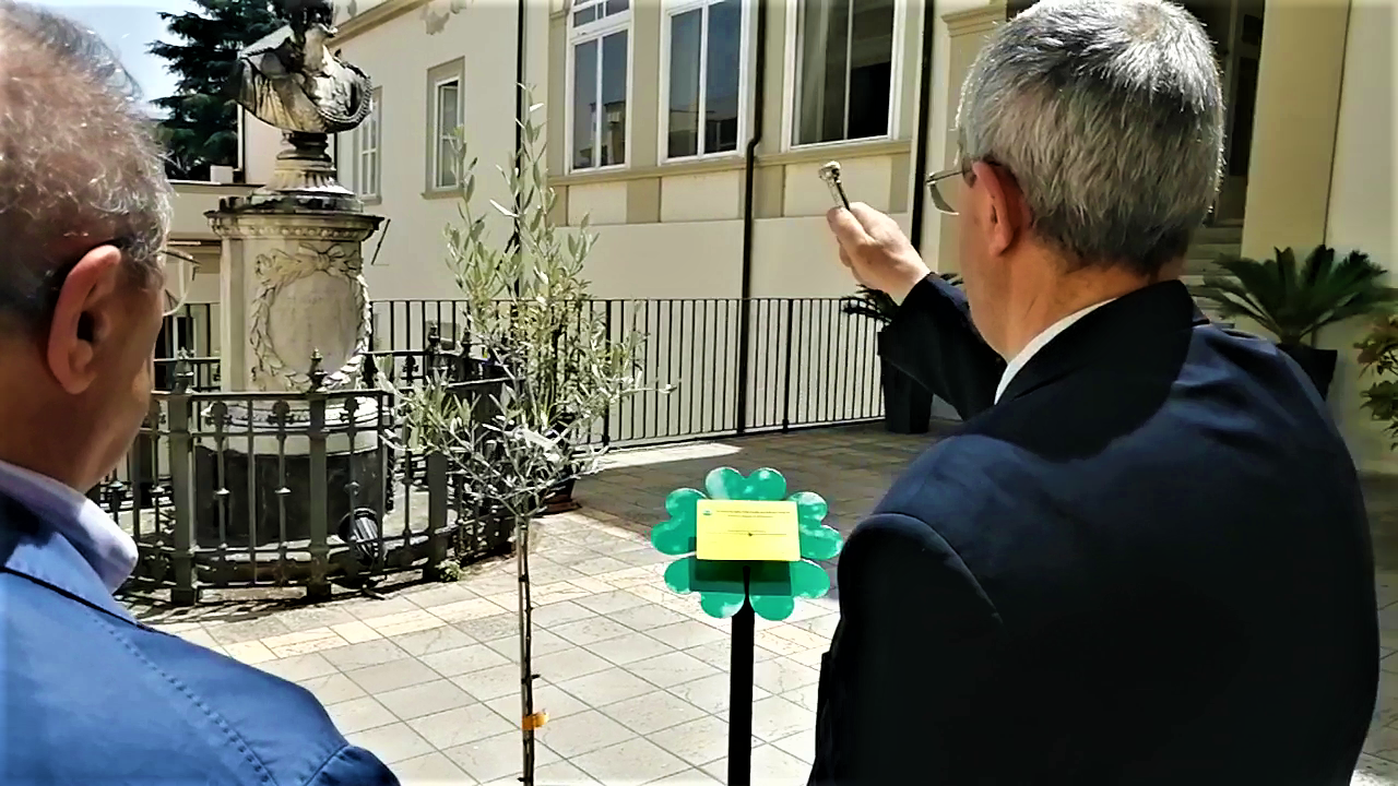 Cosenza, un albero di ulivo in ricordo delle vittime del Covid-19 – VIDEO