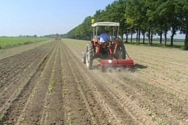 Confcoltivatori: «Brutti tempi per gli agricoltori, Oliverio intervenga»