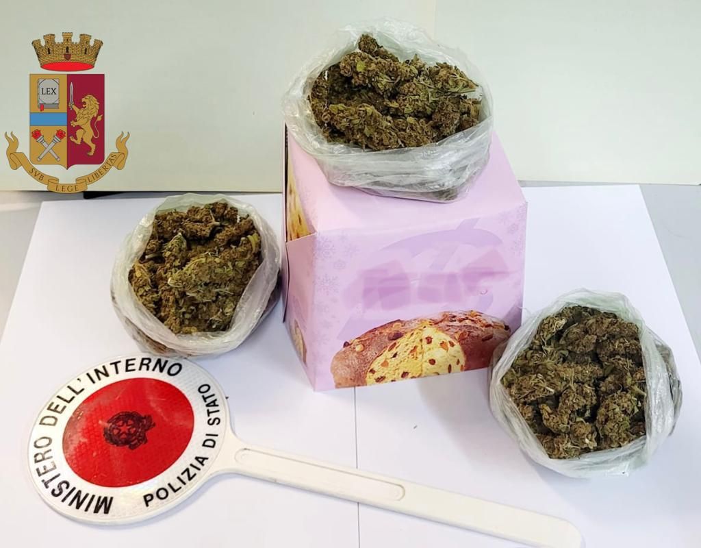 Marijuana nel panettone, beccato pusher a Vibo