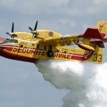 Morano Calabro, distrutti 10 ettari di macchia mediterranea