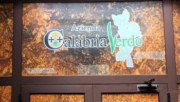 Calabria Verde, la Regione cerca candidati per l’incarico di direttore generale
