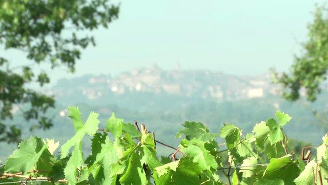 Una banca per rivoluzionare l'agricoltura