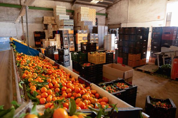 Sale l’export: la Campania fa da traino, bene anche la Calabria