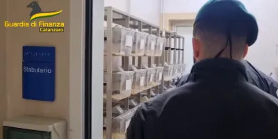 Illeciti nella gestione degli stabulari all’Università di Catanzaro, in 10 a processo – NOMI