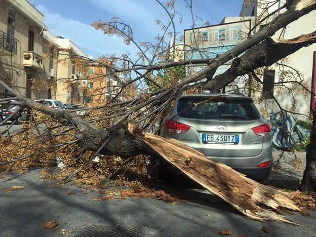 Maltempo, dopo la bufera si contano i danni