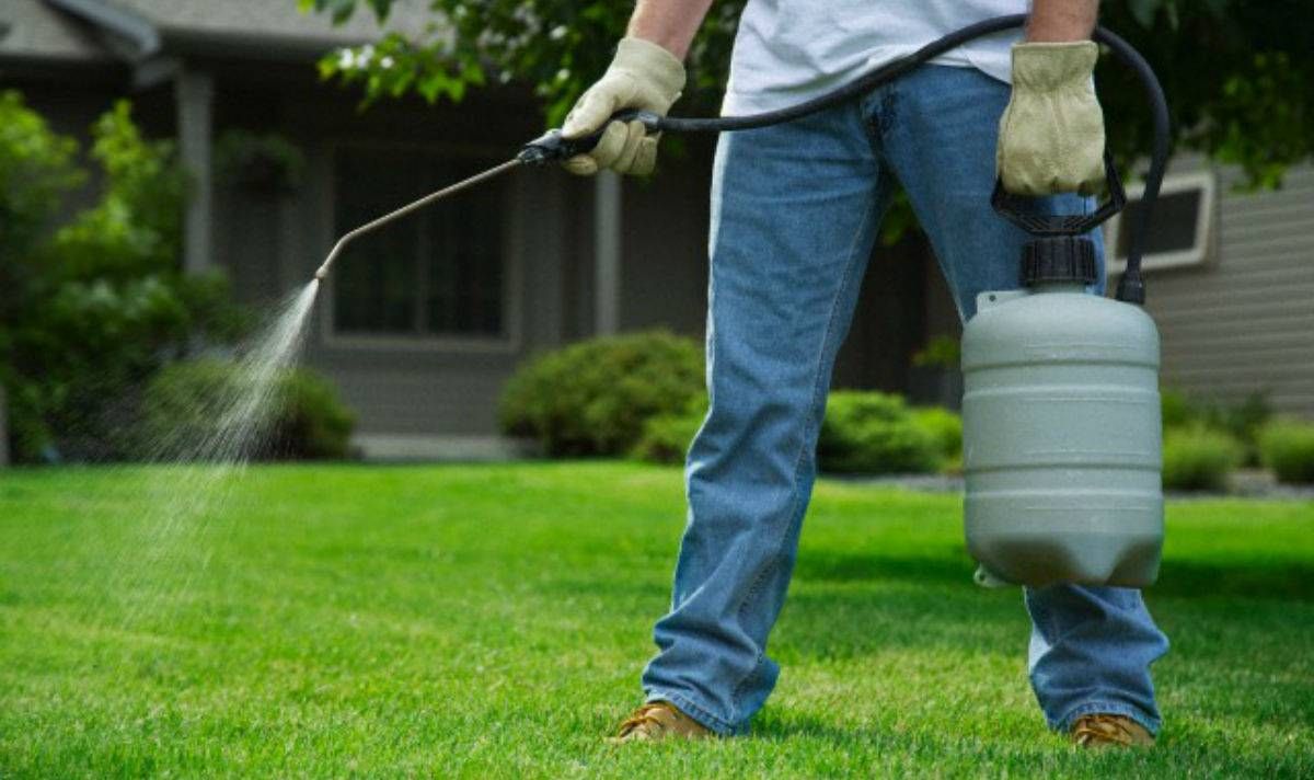 Sul Glifosate Oliverio indotto in un errore macroscopico