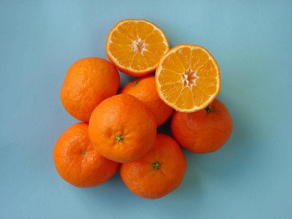 Coldiretti: grave crisi nel settore delle clementine