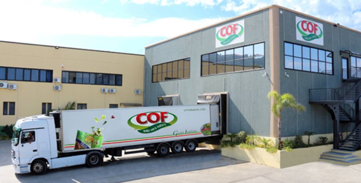 Vibo, i fallimenti pilotati e la caccia ai finanziamenti pubblici: la “super società” di Barbieri