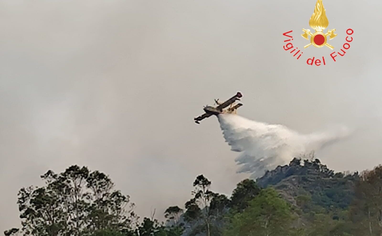 Vasto incendio nel Crotonese, le fiamme minacciano una frazione di Santa Severina – FOTO
