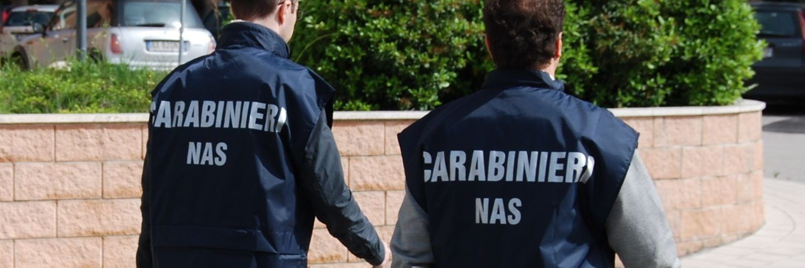 “Shield VI”, 3 arresti e medicinali sequestrati