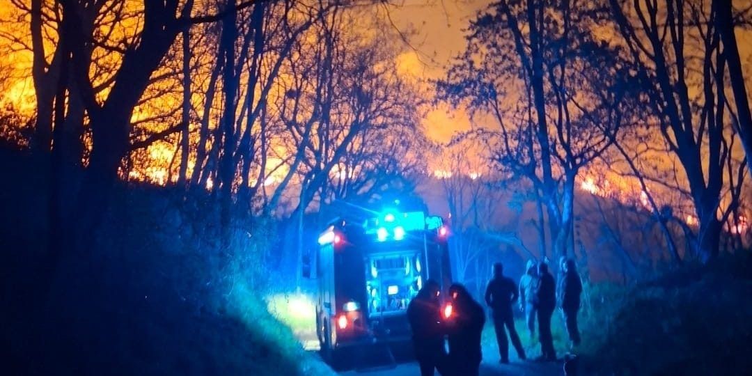 In cenere boschi e macchia mediterranea, spento un devastante incendio nel Catanzarese – VIDEO