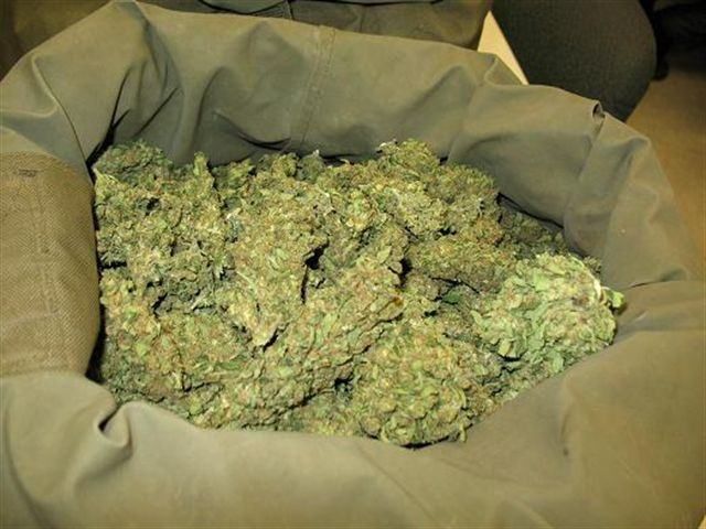 Scoperto laboratorio per marijuana, in manette 52enne