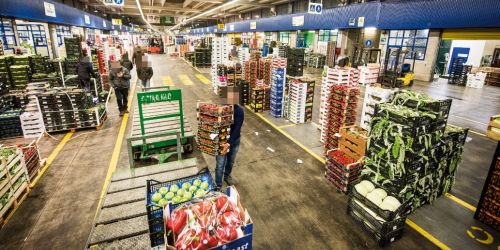 Caat Torino ndrangheta