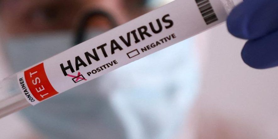Hantavirus, il ministero della Salute: non c’è nessun allarme