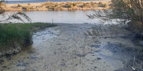 scarico abusivo giovino