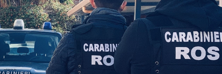 Appalti e assunzioni, così il sistema Tripodi-Piromalli ha messo le mani sull’Asp di Reggio – I NOMI