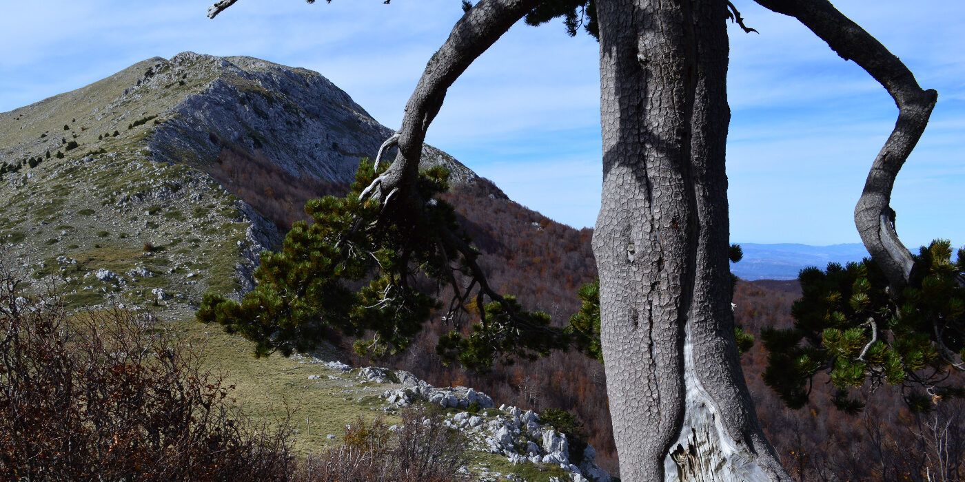 «La Pasqua cristiana e gli antichi riti di rigenerazione in Calabria»