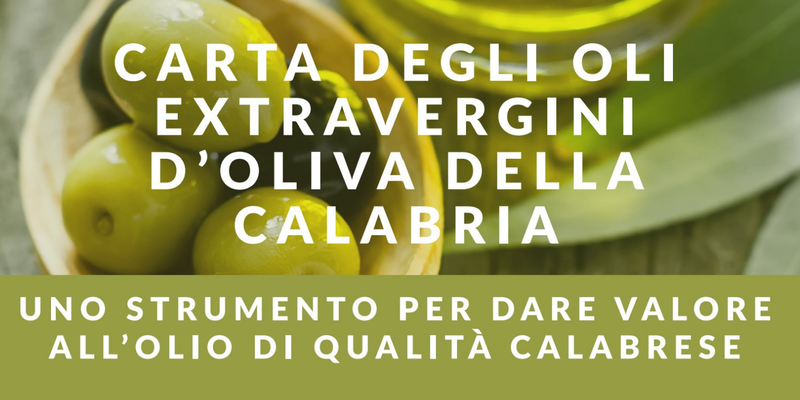 Carta degli Extravergini d’oliva della Calabria, lunedì la presentazione alla Cittadella