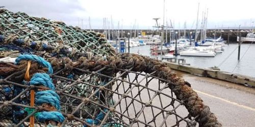 Pesca, pubblicati due bandi Feamp con dotazione di oltre tre milioni di euro