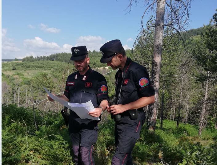 Truffa ai danni dell’Ue nel Cosentino, denunciate tre persone