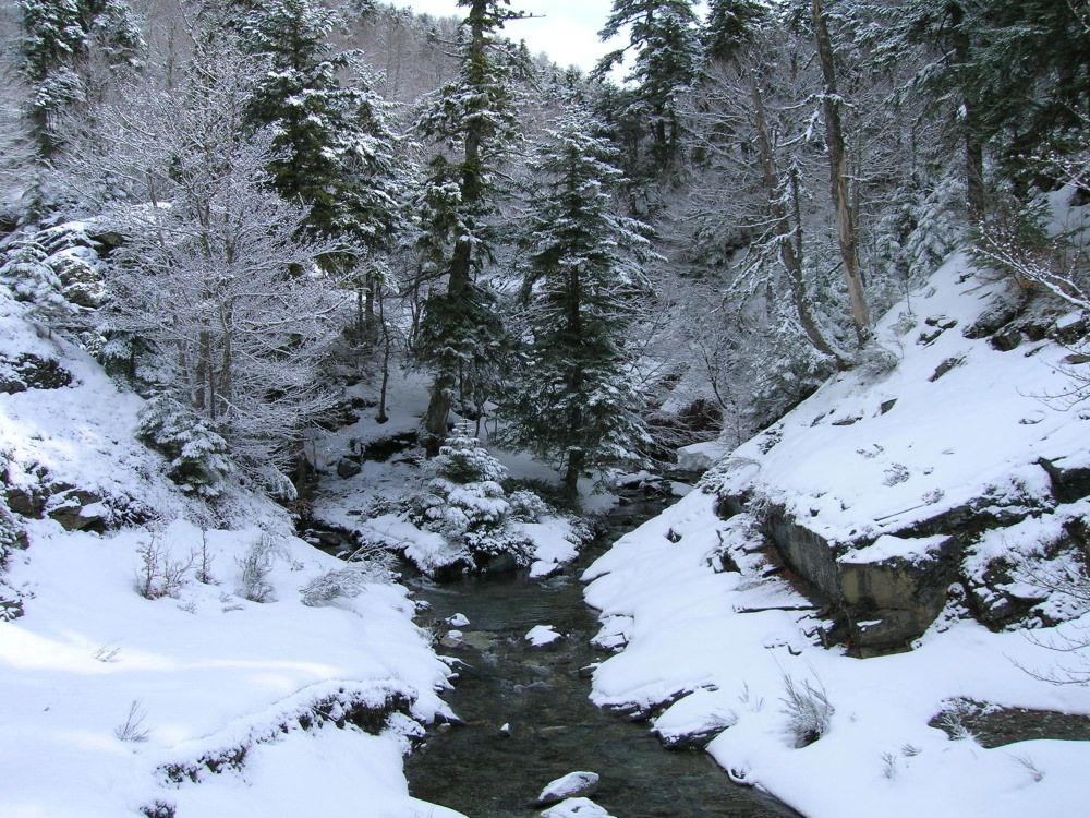 Madre e figlia disperse in Aspromonte. Ricerche in corso