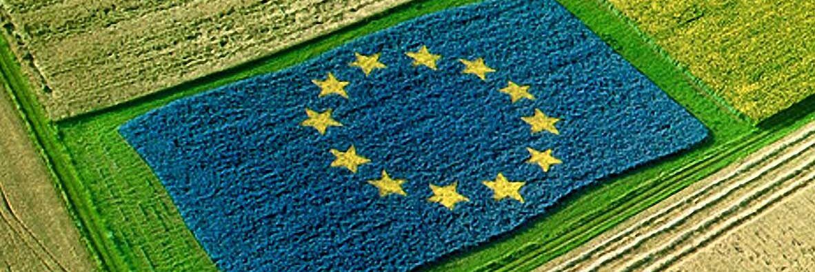 Bilancio Ue, Confagricoltura denuncia: «Risorse invariate nonostante l’inflazione»