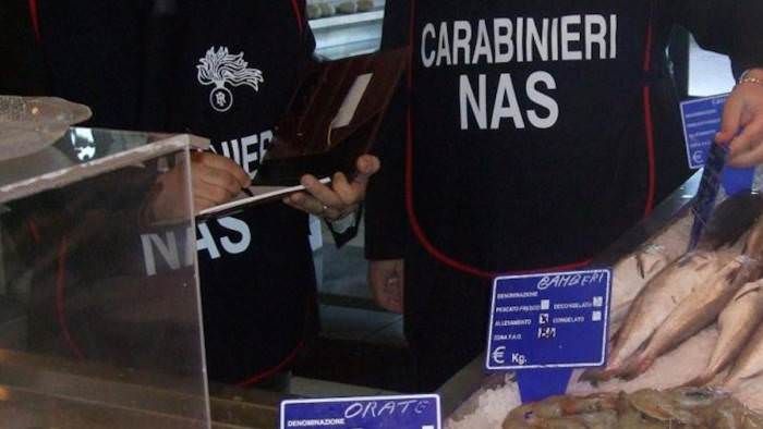 «Gravissime carenze igieniche», chiusa una pescheria a Serra San Bruno