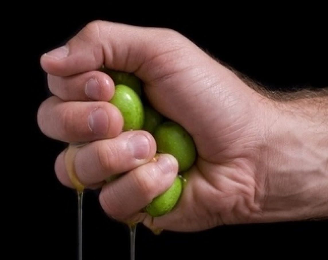 Lamezia, i produttori di olio si mobilitano. «La qualità va pagata al giusto prezzo»