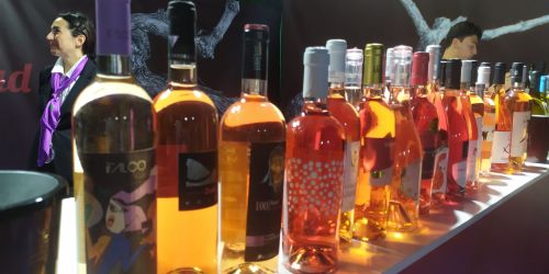 vinitaly and the city 2024