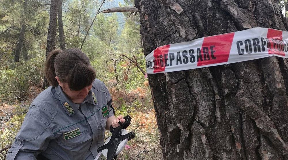 Tagli abusivi, sequestrati 16 ettari di bosco