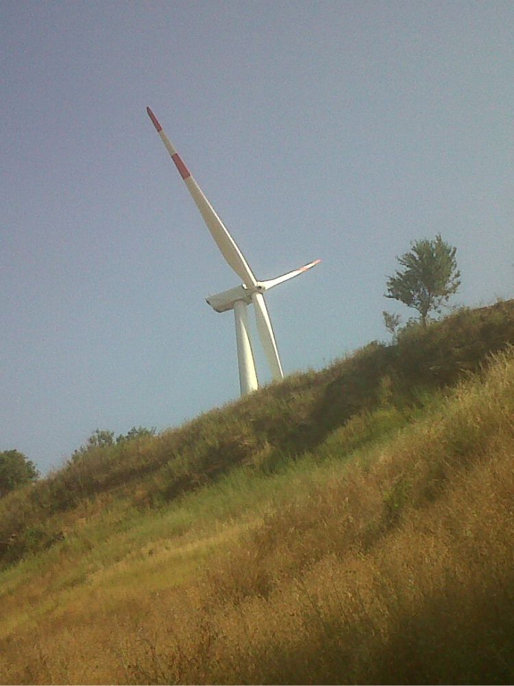 INCHIESTA EOLO | Quote societarie trasferite ai funzionari regionali