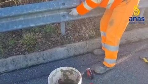 Trasversale delle Serre, lavori di manutenzione in corso nel Catanzarese – VIDEO