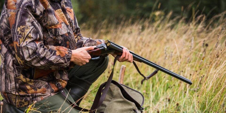 Il Tar sospende il calendario venatorio della Regione. «Pericolo per alcune specie animali»