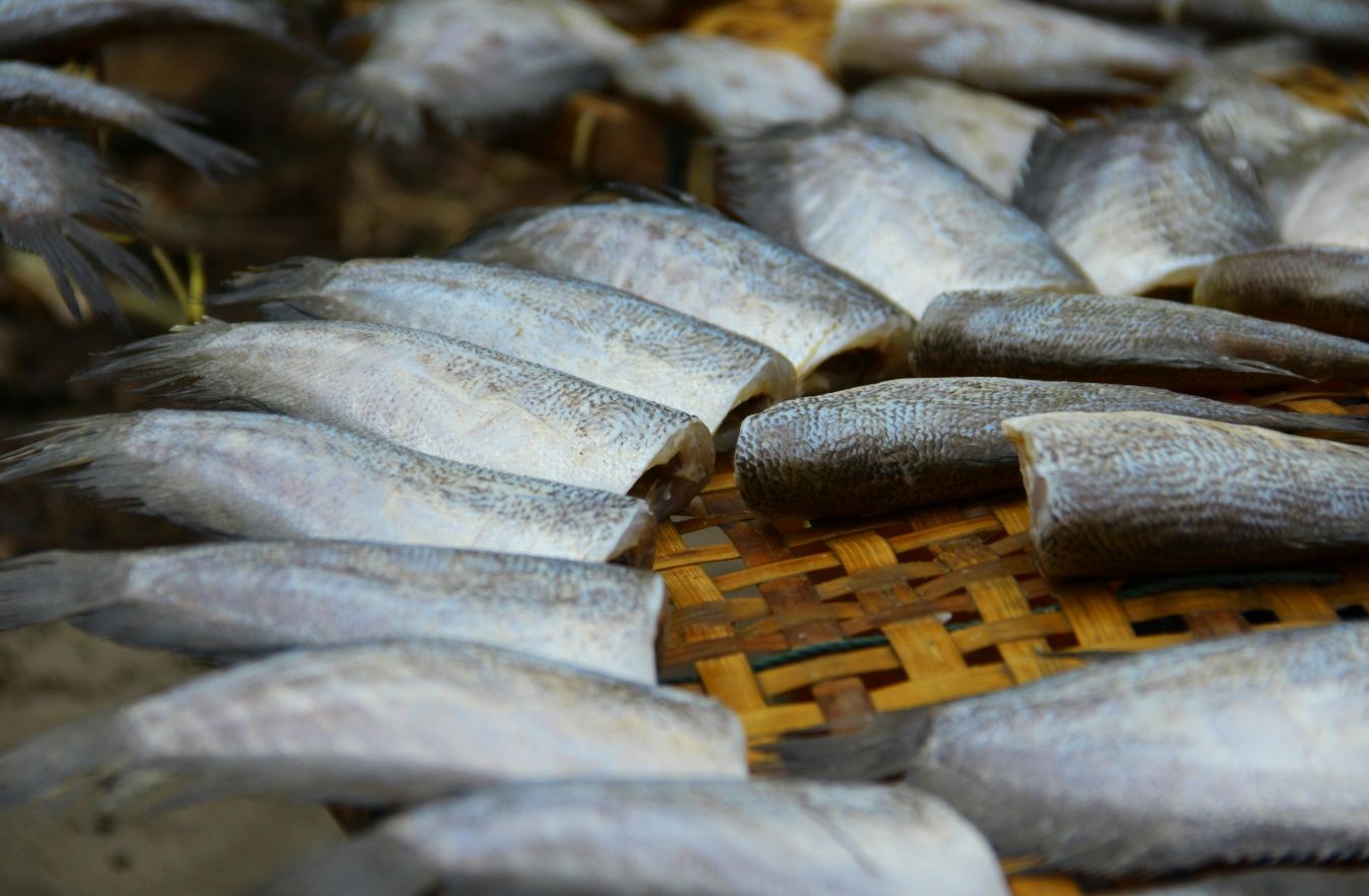 ‘Ndrangheta, villaggi e monopolio ittico: «l’egemonia mafiosa» dei Mancuso a Nicotera Marina