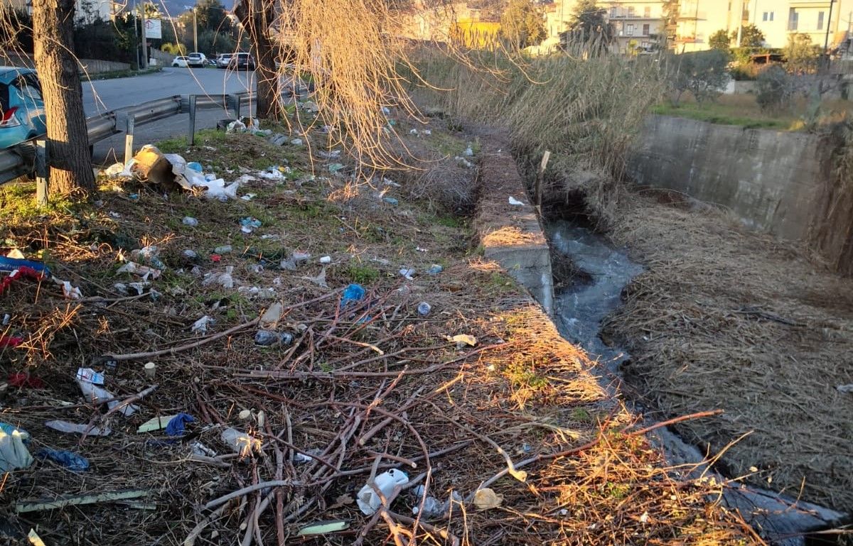 «Degrado assoluto lungo l’alveo del torrente Piazza nel centro di Lamezia»