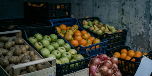 ‘Ndrangheta a Cortale, il patto per la fornitura di frutta e 200-300 euro in più nei lavori. «Devi prendere roba di qualità»