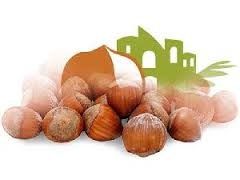 XIII Assise nazionale della 'Citta' della nocciola'