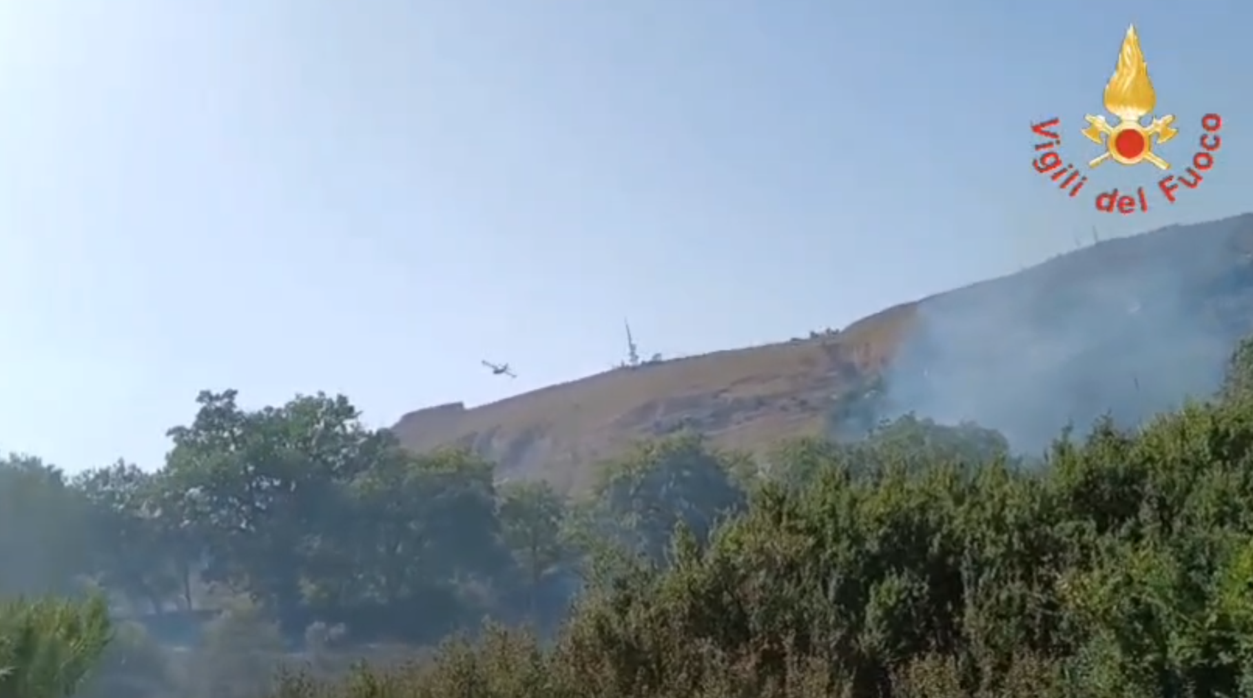 Vasto incendio a Piscopio, in azione Vigili del fuoco e Canadair
