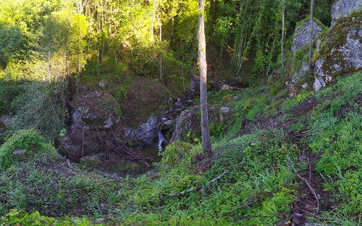 Danneggiato il sentiero del Reventino. «Tagliato via un pezzo di storia»