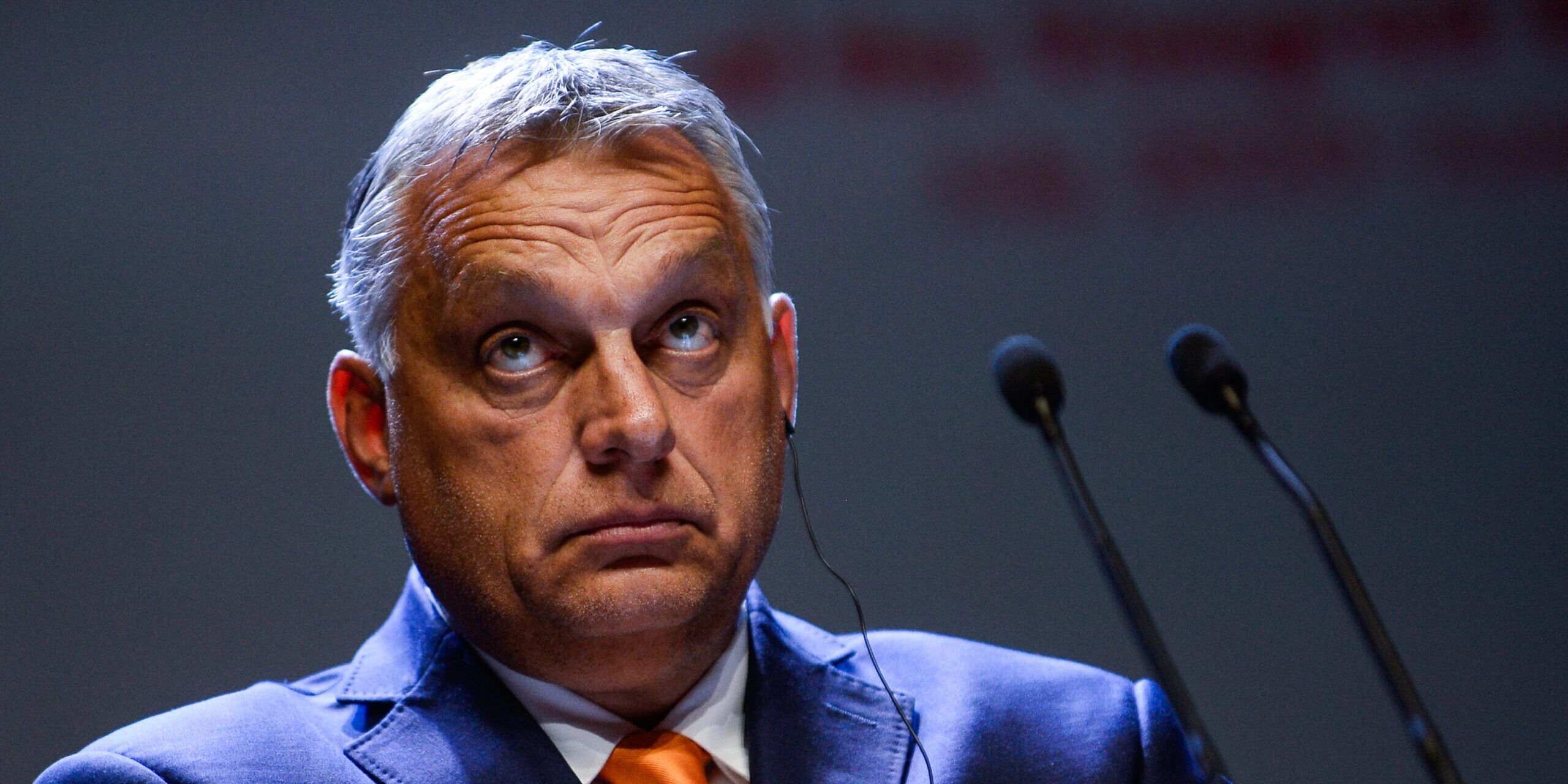 «Nostalgia canaglia»