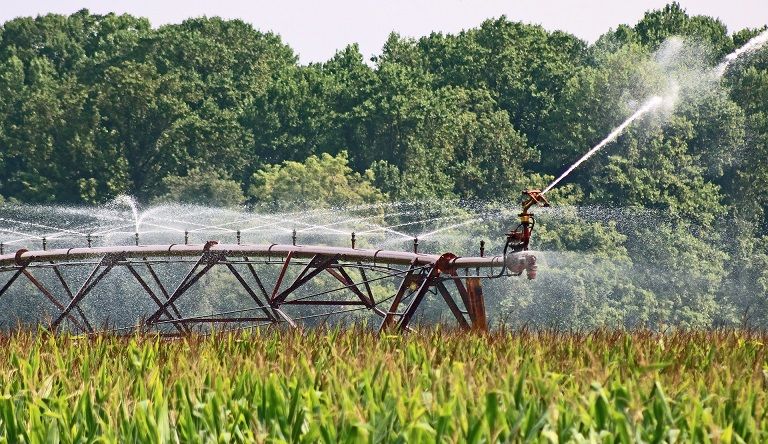 Pnrr, alla Calabria 139 milioni per l’agrosistema irriguo
