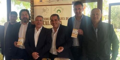 Presentazione_Pit nocciola tonda